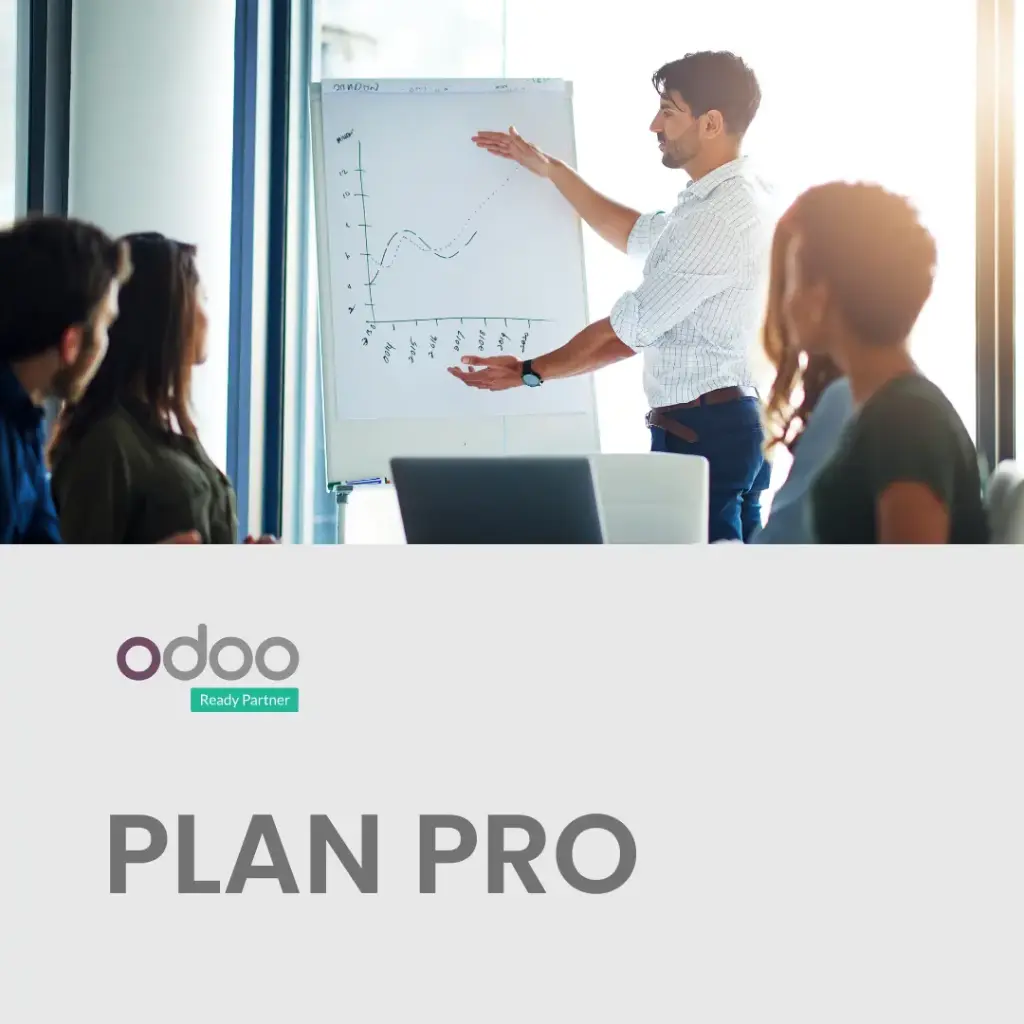 Odoo - Pro | Empresas medianas que buscan adaptar sus procesos a ODOO