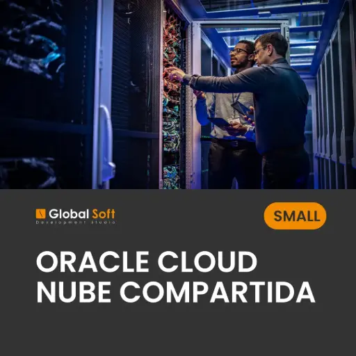 [Costo mensual.] Oracle